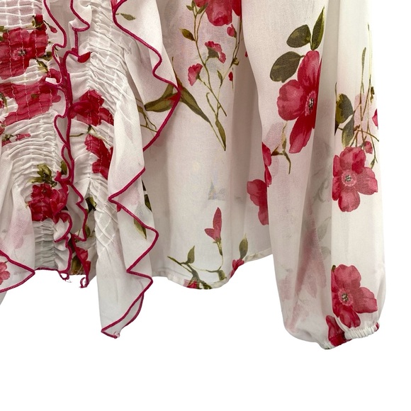 Zara Floral Ruffle Sheer Blouse Top - Picture 4 of 7
